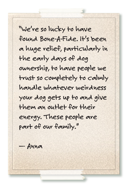 Read more testimonials